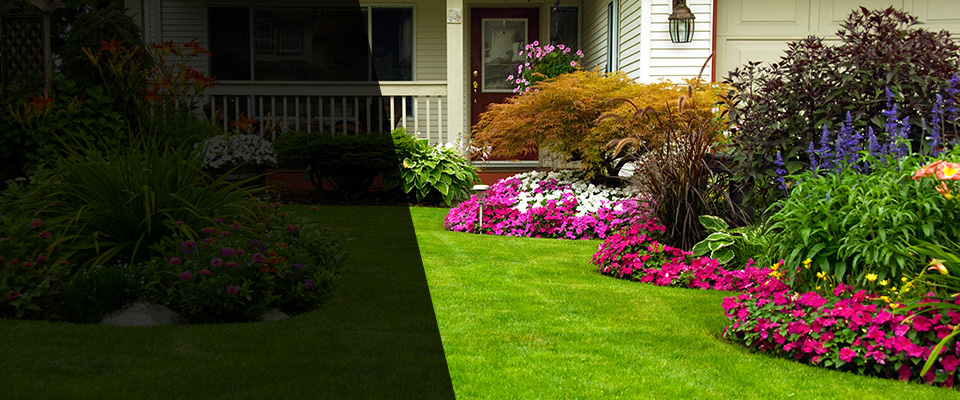 Donora Landscapers