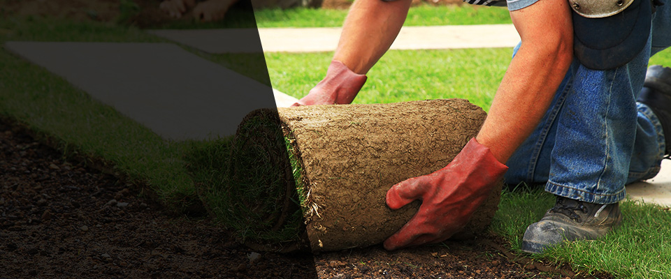 Donora Landscapers